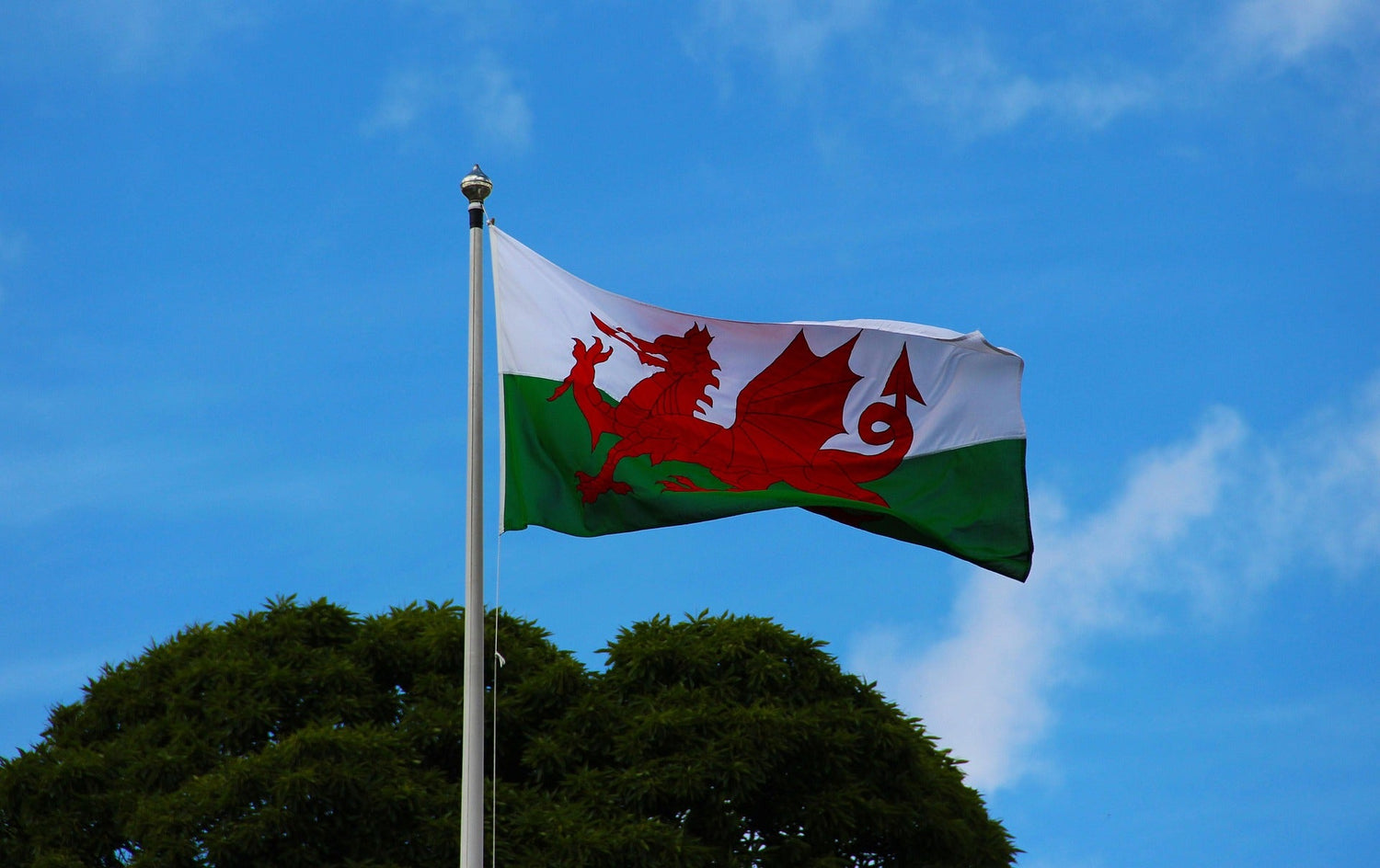 Welsh Goodies