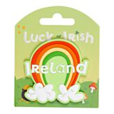 Packaged rainbow and clover fridge magnet with 'Luck of the Irish' text on a green background
